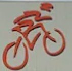 Bicycle Sports (Store)